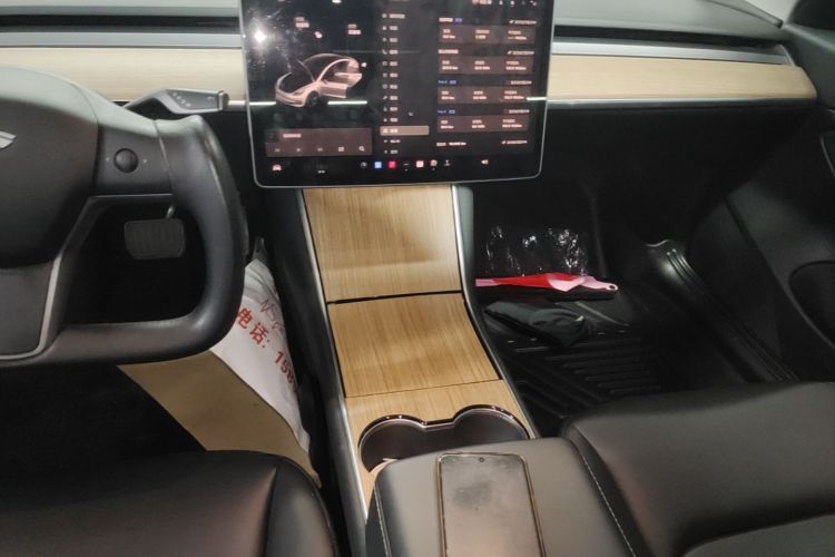 Tesla Model 3 2020 car image #14