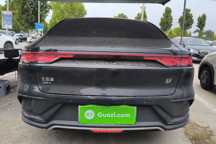 BYD Han 2022 car image #6