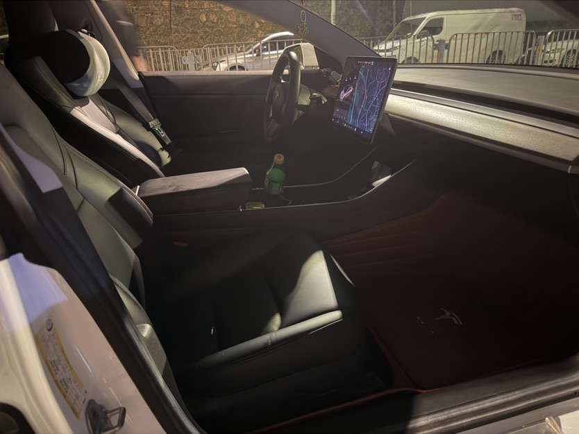 Tesla Model 3 2020 #6 Tesla Model 3 2020 car image #6
