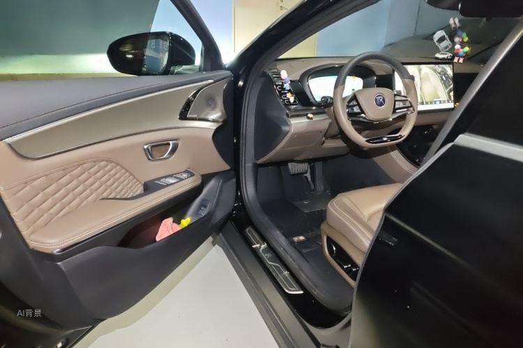 BYD Han 2022 car image #18
