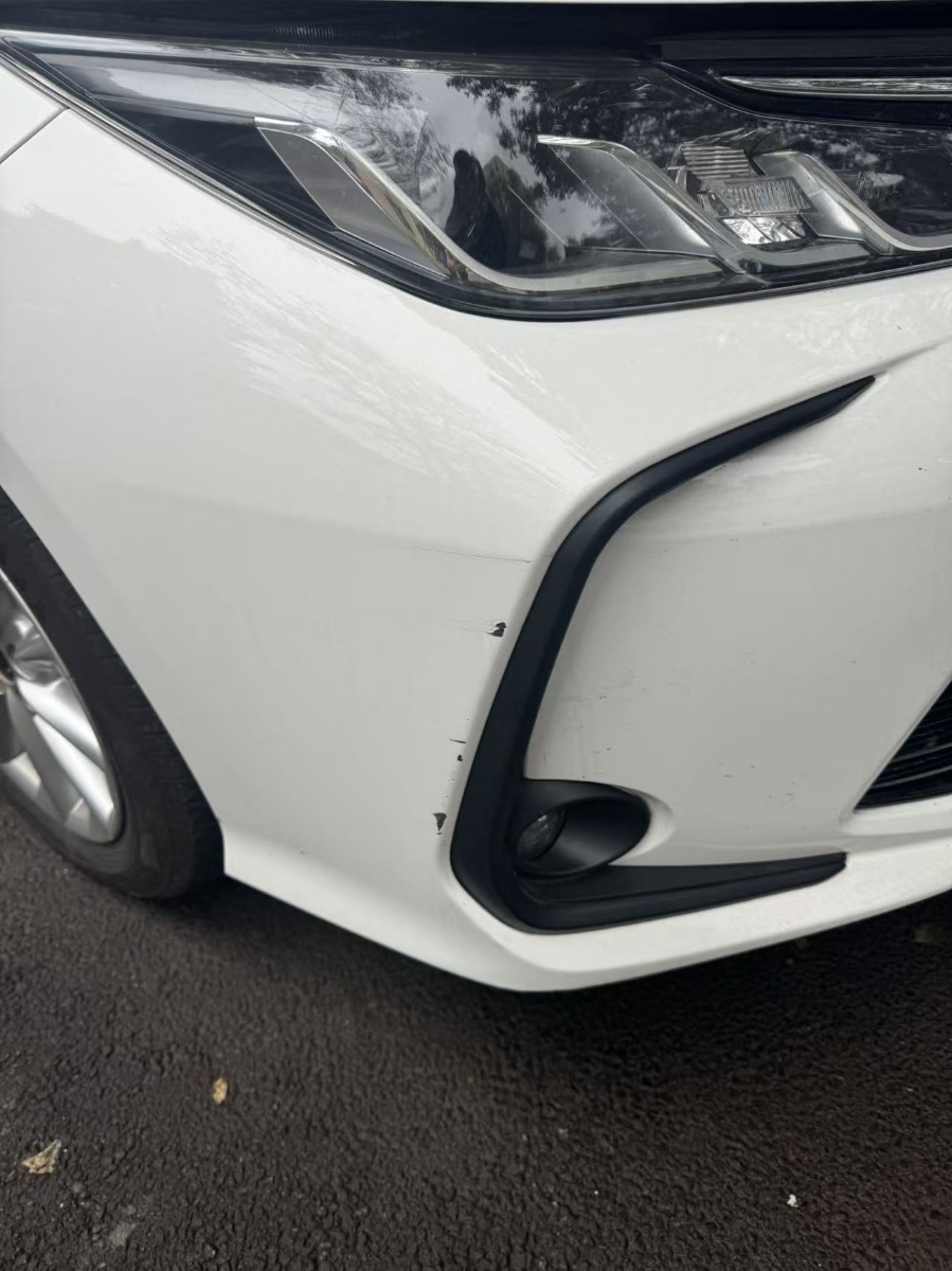 Toyota Corolla 2021 car image #6