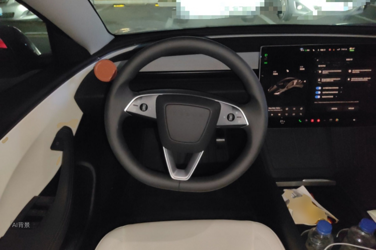 Tesla Model 3 2025 car image #12