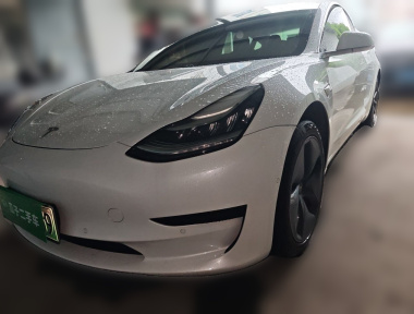 Tesla Model 3 2020 Tesla Model 3 2020 car image