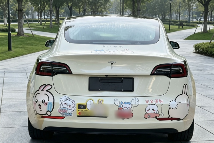 Tesla Model 3 2020 #6 Tesla Model 3 2020 car image #6