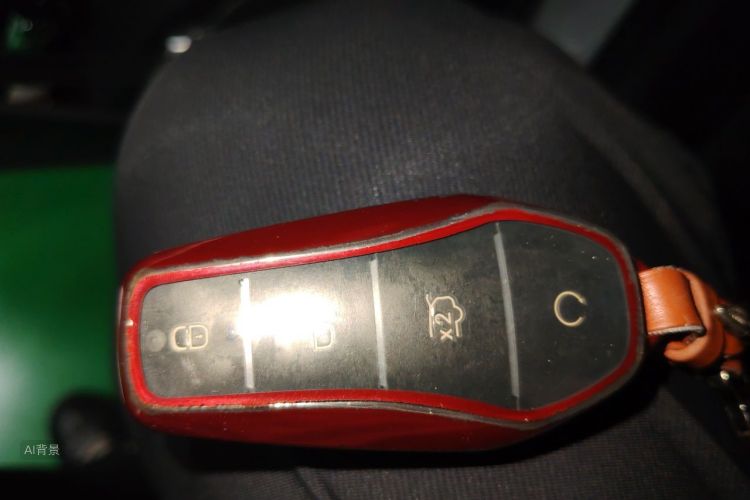 BYD Yuan Plus 2024 car image #10