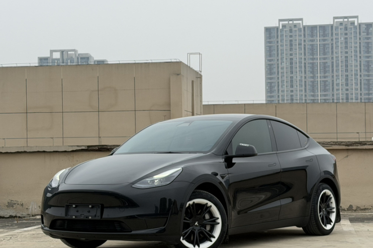 Tesla Model Y 2023 car image #8