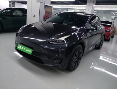 Tesla Model Y 2024 Tesla Model Y 2024 immagine di auto