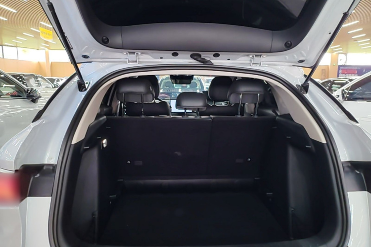BYD Yuan Plus 2025 car image #19