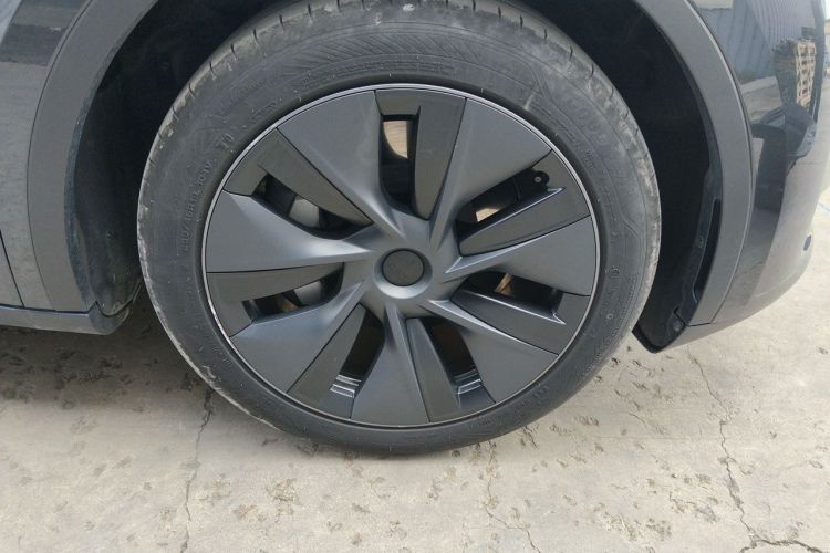 Tesla Model Y 2024 car image #6