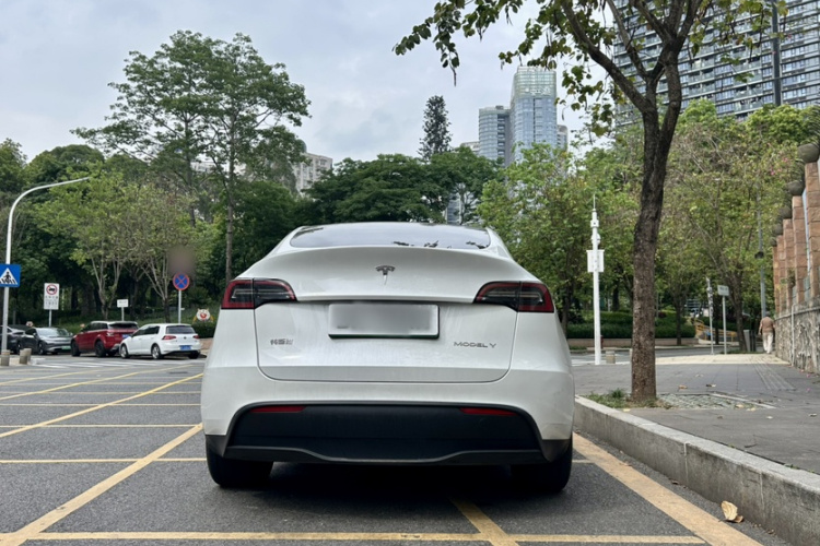 Tesla Model Y 2024 #7 Tesla Model Y 2024 car image #7