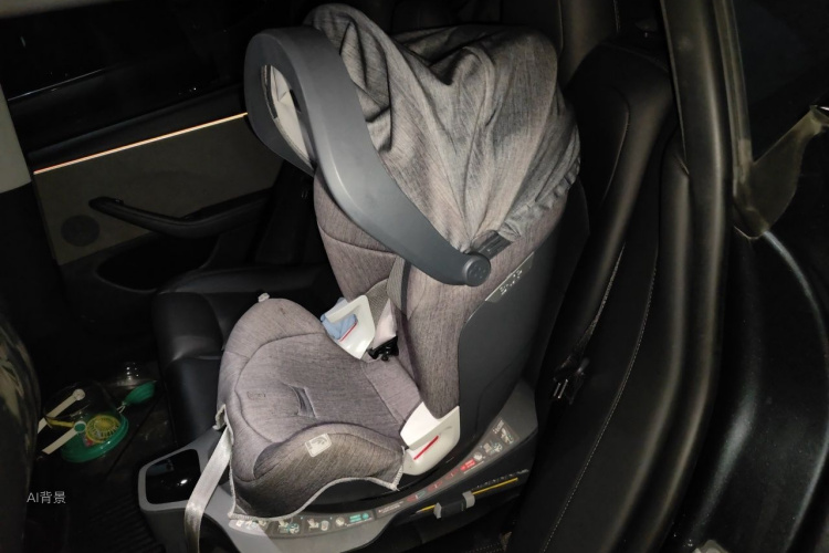 Tesla Model 3 2024 car image #19