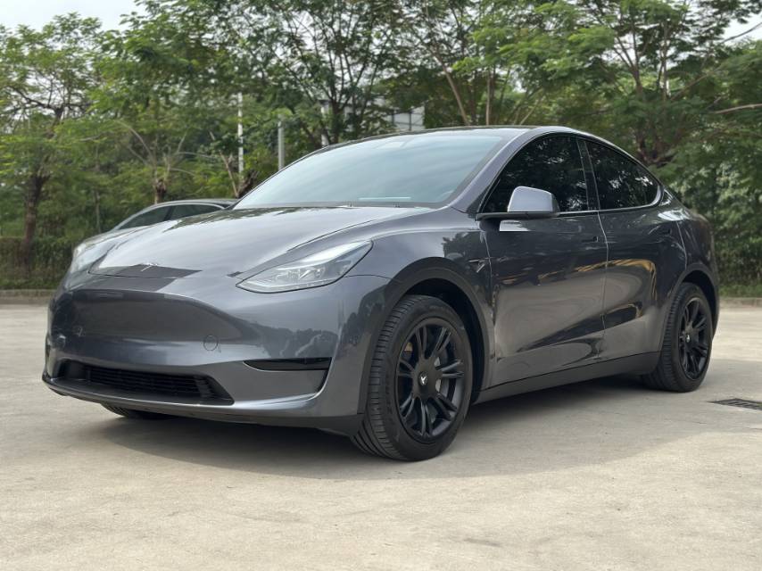 Tesla Model Y 2024 car image 