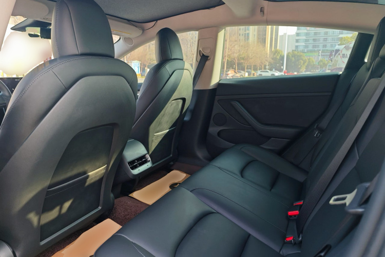 Tesla Model 3 2022 car image #17
