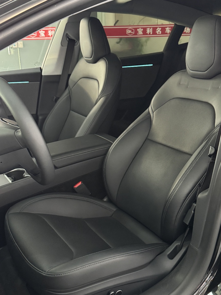 Tesla Model 3 2025 #9 Tesla Model 3 2025 car image #9