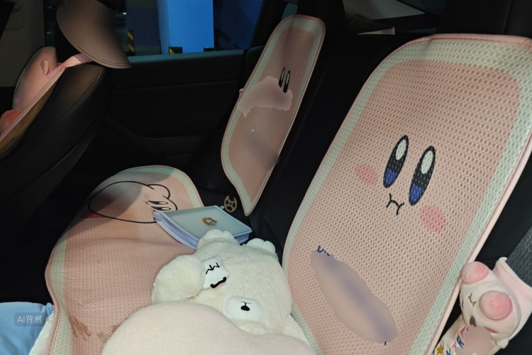 Tesla Model 3 2023 car image #19