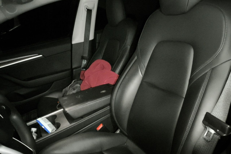 Tesla Model 3 2021 car image #19