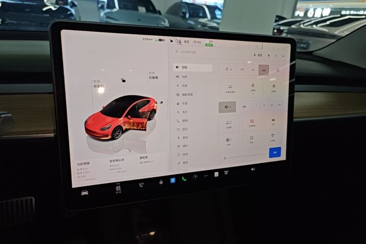 Tesla Model 3 2022 car image #13