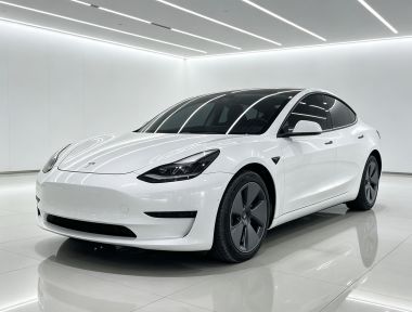 Tesla Model 3 2021 Tesla Model 3 2021 immagine di auto