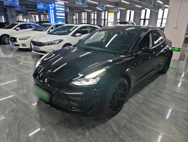 Tesla Model 3 2021 car image 