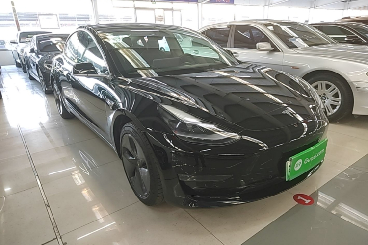 Tesla Model 3 2020 imagem de carro #6