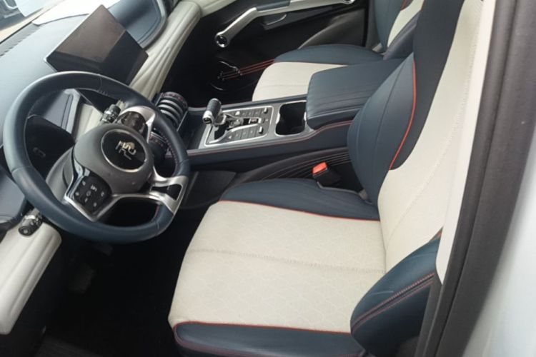 BYD Yuan Plus 2022 car image #19