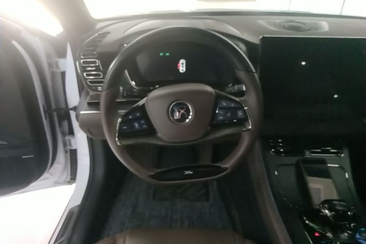 BYD Han 2022 #15 BYD Han 2022 car image #15