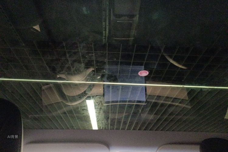 Tesla Model Y 2021 car image #20