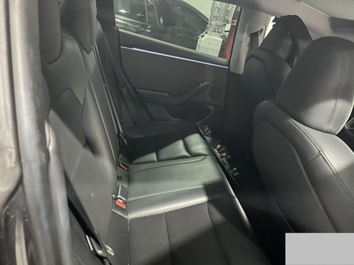 Tesla Model 3 2024 #5 Tesla Model 3 2024 car image #5