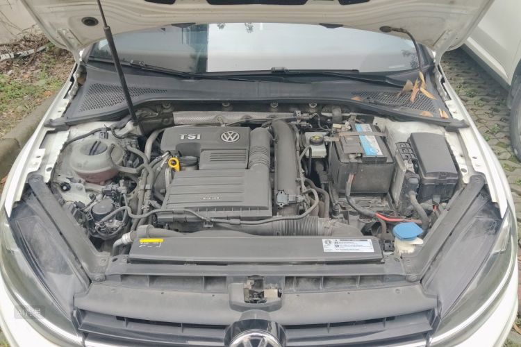 Volkswagen Golf 2019 #22 Volkswagen Golf 2019 car image #22