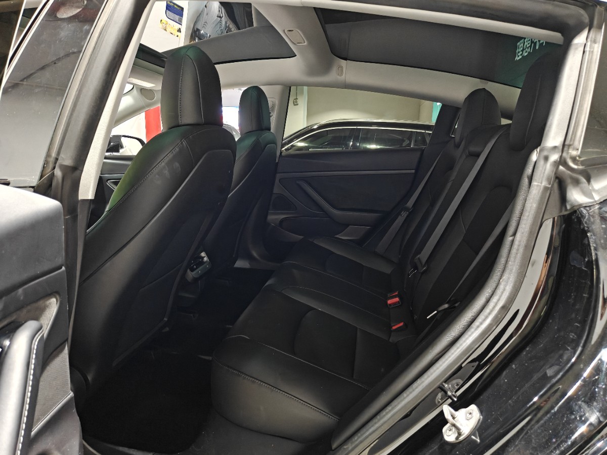 Tesla Model 3 2020 car image #4