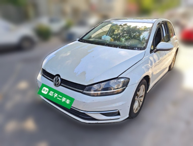 Volkswagen Golf 2019 Volkswagen Golf 2019 car image