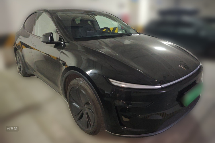 Tesla Model Y 2025 car image #4