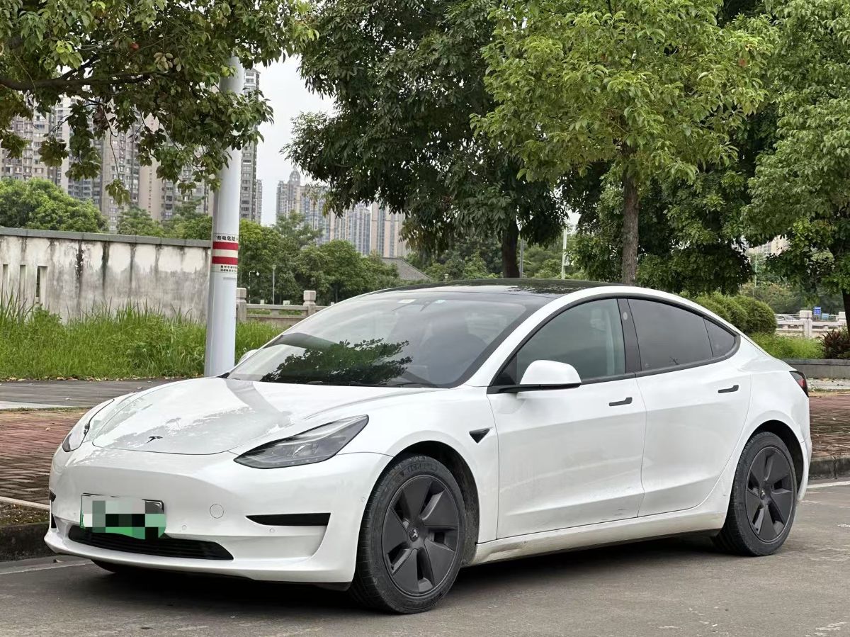 Tesla Model 3 2021 Tesla Model 3 2021 car image