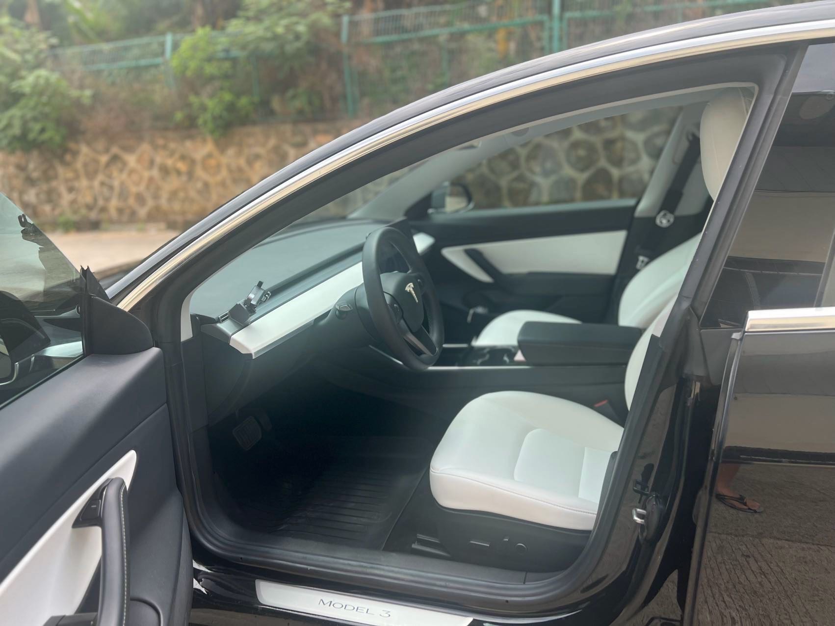 Tesla Model 3 2021 car image #6