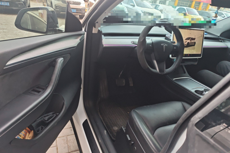 Tesla Model Y 2024 car image #13
