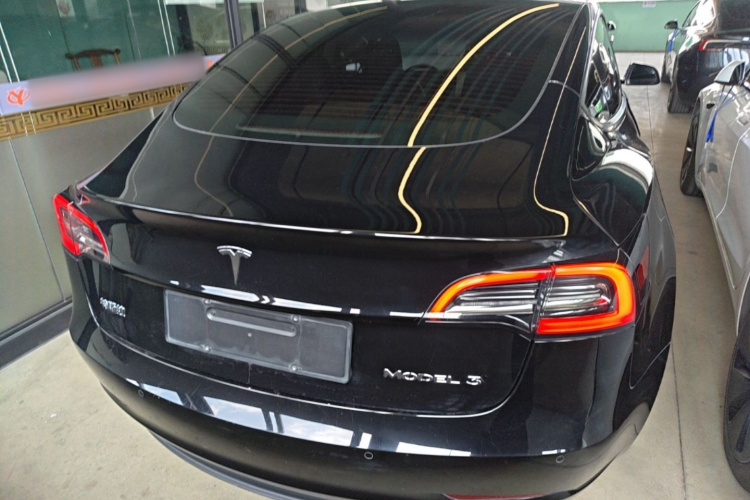Tesla Model 3 2022 car image #6