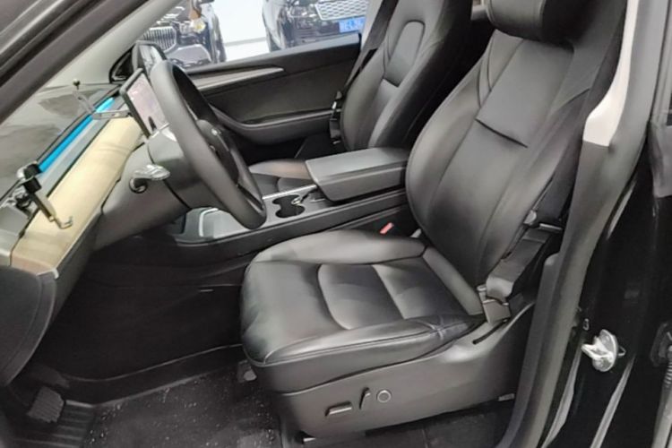 Tesla Model Y 2021 car image #15
