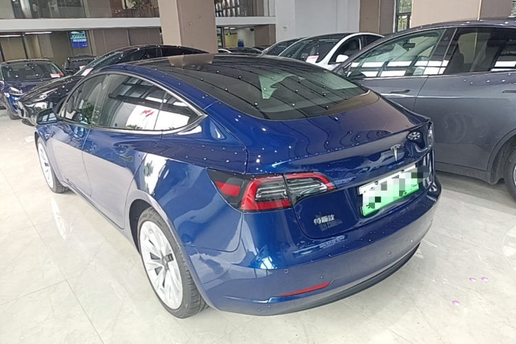 Tesla Model 3 2021 #5 Tesla Model 3 2021 car image #5
