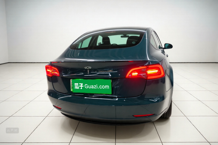 Tesla Model 3 2021 #6 Tesla Model 3 2021 car image #6