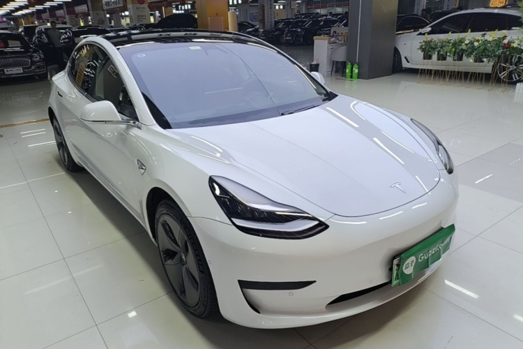 Tesla Model 3 2020 #4 Tesla Model 3 2020 car image #4