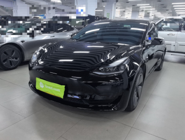 Tesla Model 3 2023 Tesla Model 3 2023 car image