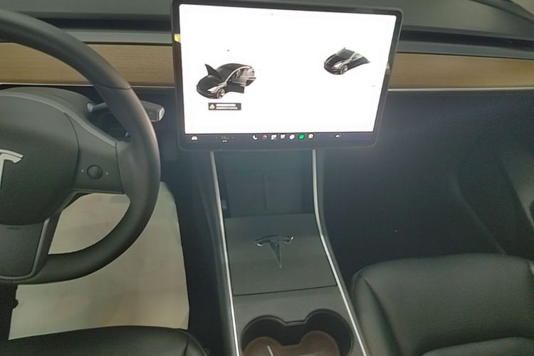 Tesla Model 3 2020 imagem de carro #17