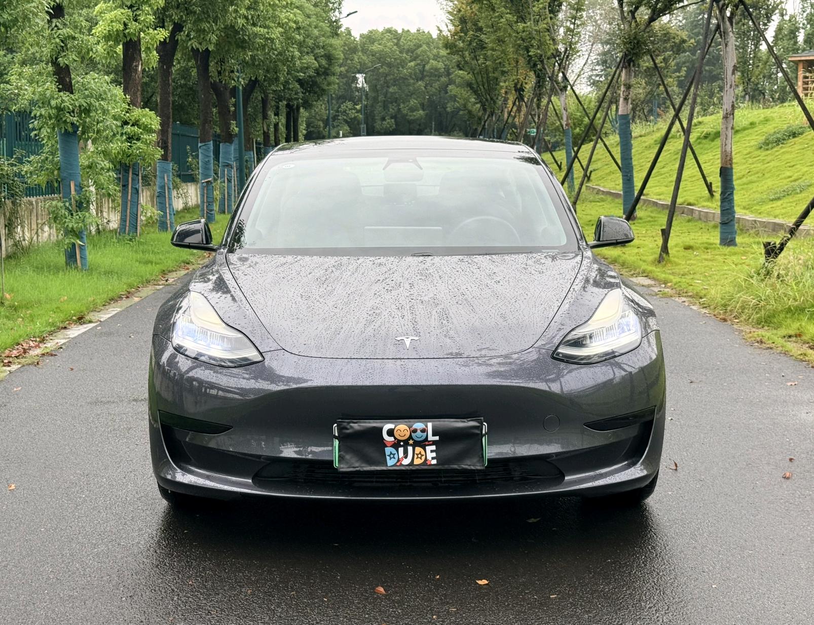 Tesla Model 3 2020 car image #2