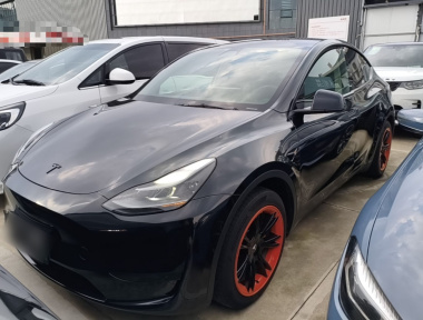 Tesla Model Y 2022 Tesla Model Y 2022 car image