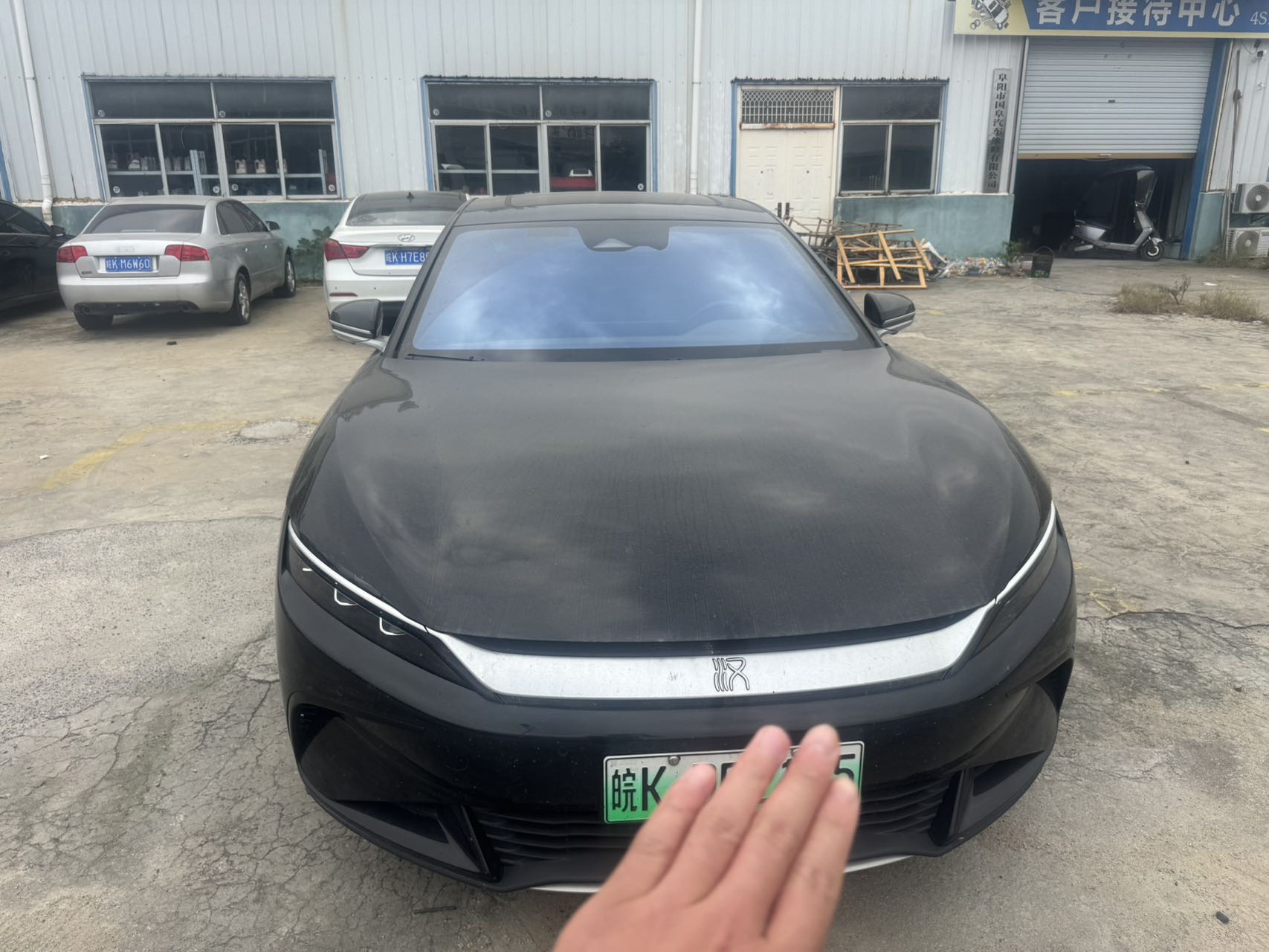 BYD Han 2024 immagine di auto 