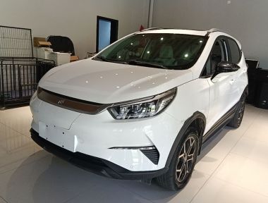 BYD Yuan Pro 2023 car image 