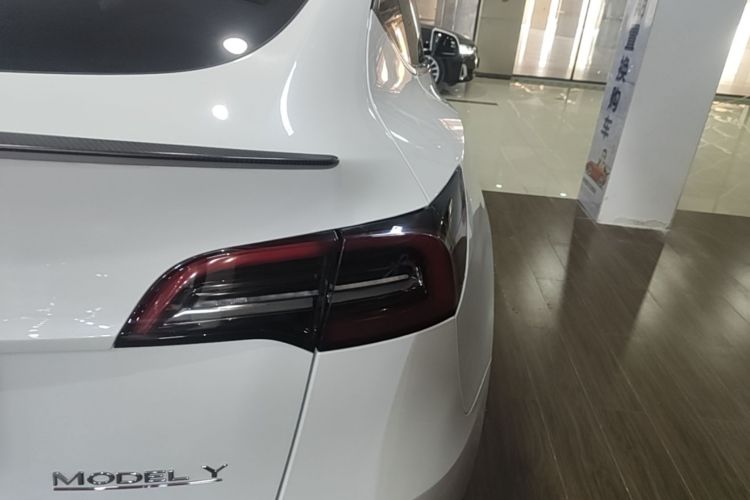 Tesla Model Y 2023 #8 Tesla Model Y 2023 car image #8
