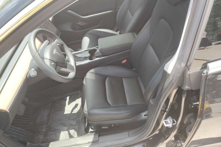 Tesla Model 3 2020 car image #15