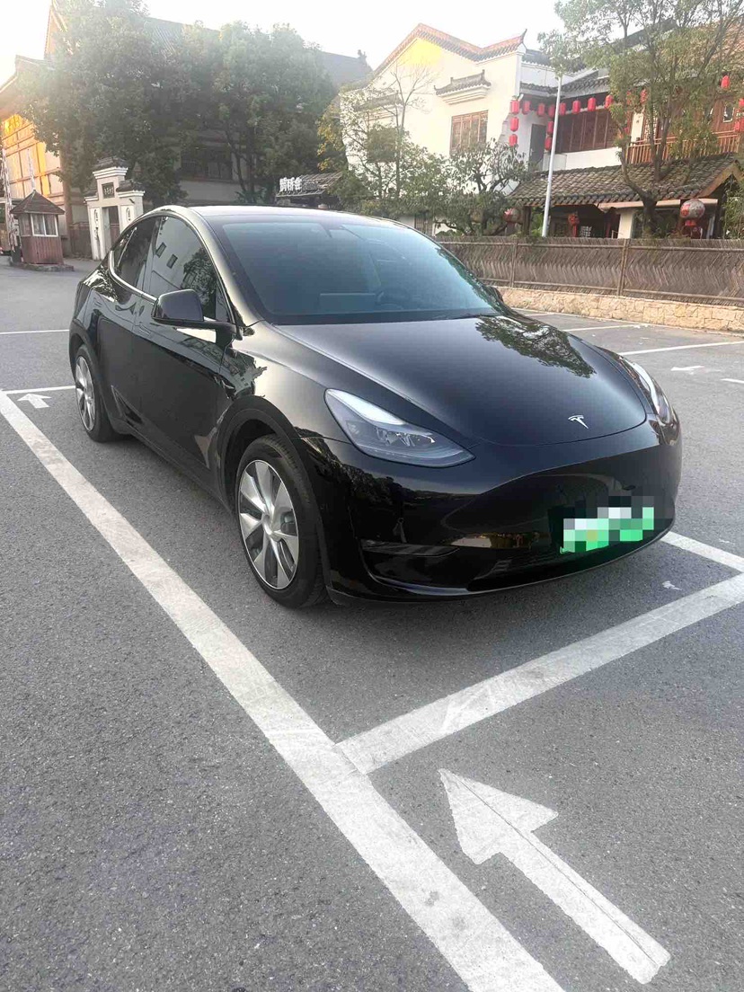 Tesla Model Y 2021 immagine di auto #5