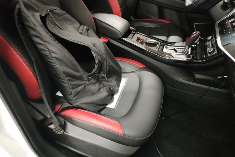 GEELY Emgrand GS 2020 car image #21